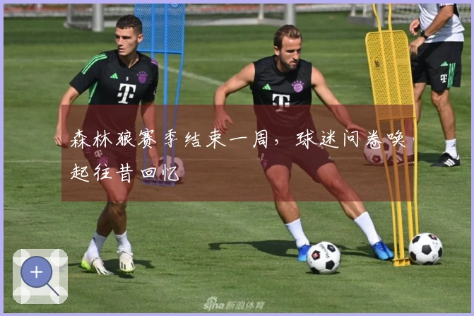 森林狼赛季结束一周，球迷问卷唤起往昔回忆